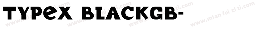 TypeX BlackGB字体转换